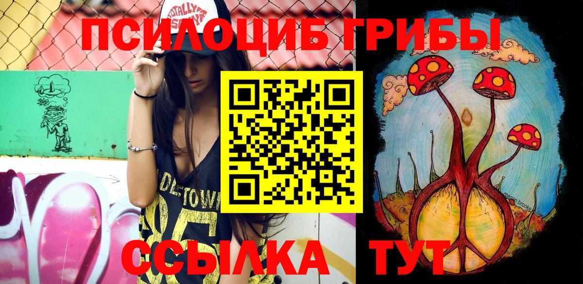 Мценск  Псилоцибиновые грибы Psilocybine cubensis  Вход с VPN 
