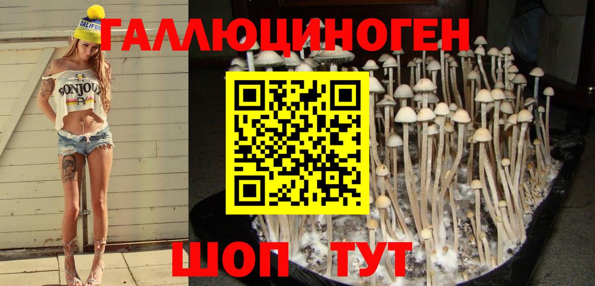Псилоцибиновые грибы Cubensis Мценск